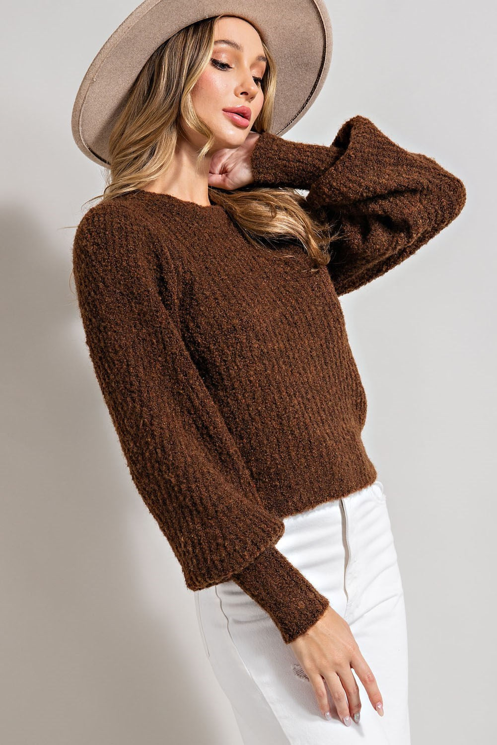 Soft Fuzzy Sweater With Puffed Sleeves in Brown